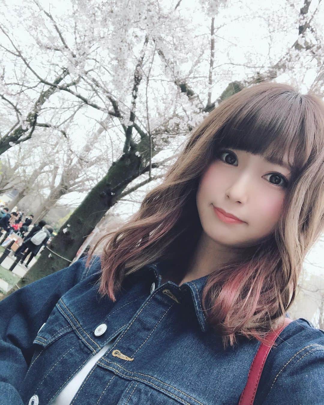 日野礼香さんのインスタグラム写真 - (日野礼香Instagram)「桜撮りに行ってきたけど曇ってて上手く撮れなかったー(´･ω･`) そして寒かった！ #spring #桜🌸 #selfie」3月30日 18時40分 - reicheru219