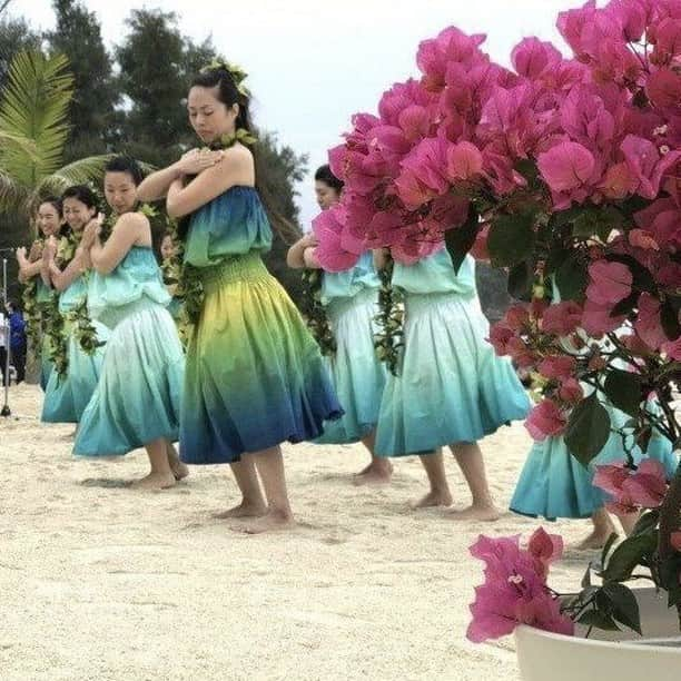 カヌチャリゾートさんのインスタグラム写真 - (カヌチャリゾートInstagram)「.⠀ 明日の海開きイベントでは、フラダンスチーム「U'iOhana」がカヌチャでパフォーマンスしてくれます！⠀ 「U'iOhana」のパフォーマンスの第1部は9：00過ぎの予定です。⠀ 3/31(日)はカヌチャビーチにぜひ遊びにきてくださいね🌺🌴⠀ @kanucha_resort⠀⠀ ⠀ #カヌチャ⠀ #kanucha⠀ #リゾート⠀ #resort⠀ #カヌチャリゾート⠀ #沖縄⠀ #okinawa⠀ #海開き⠀ #フラダンス⠀ #ビーチ」3月30日 19時00分 - kanucha_resort