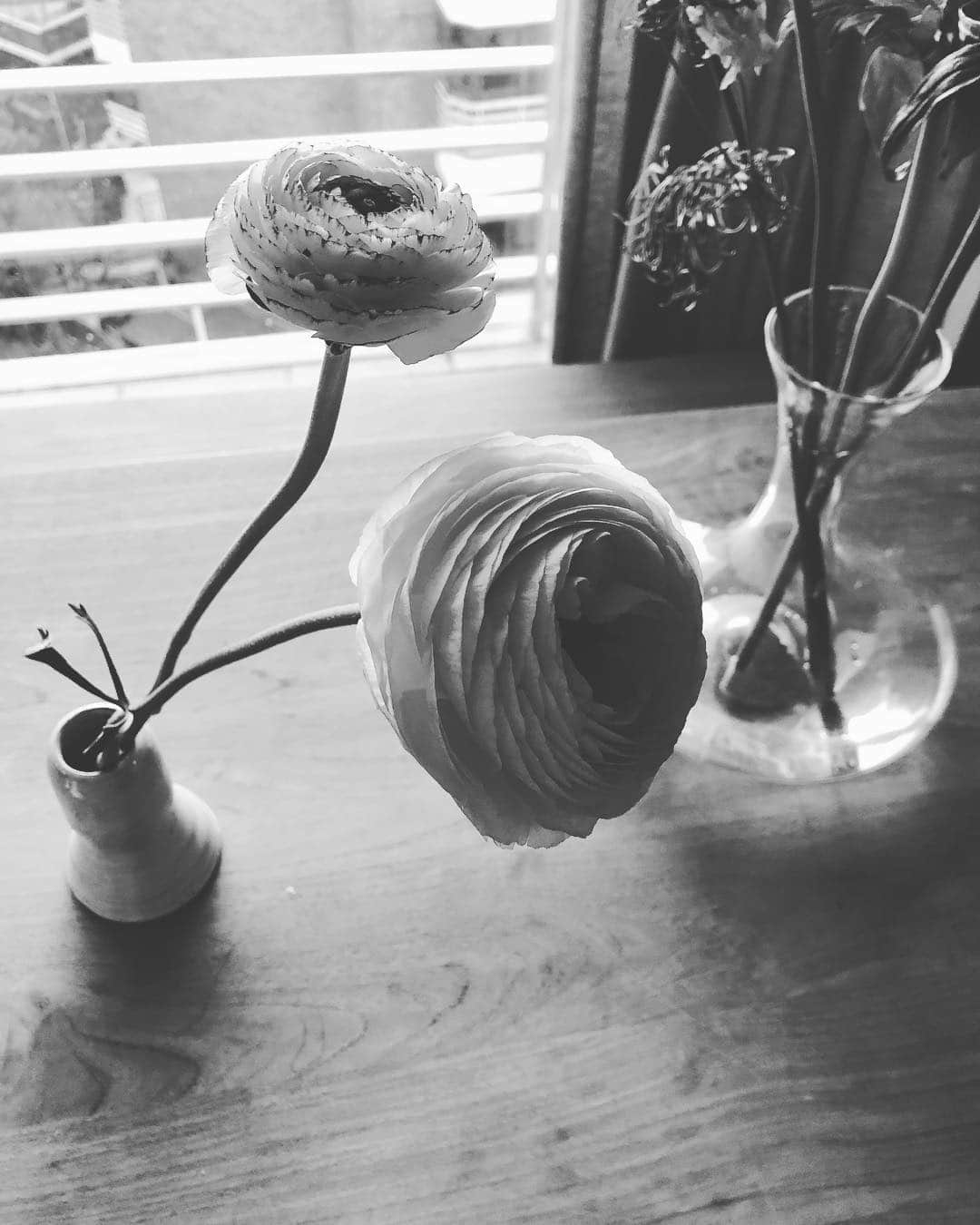 ソン・ダムビさんのインスタグラム写真 - (ソン・ダムビInstagram)「꽃키우는 여자에영 너무이쁘졍☺️」3月30日 19時06分 - xodambi