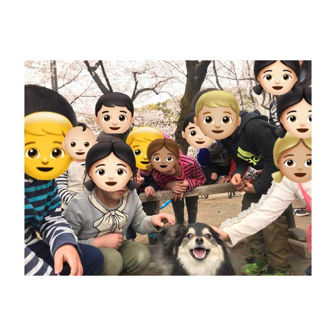 志保さんのインスタグラム写真 - (志保Instagram)「. 公園よく行きすぎて子供のアイドル(親バカ入ってる) . #今の時期大人も可愛がってくれるのありがたい #こわーいって言いつつ結果仲良くなる子供たち #少し前に見覚えあるあの子供も大人になってる #達者になってるのも成長感じてかわいい #弟もかわいいけど同じくらいかわいい」3月30日 19時14分 - shiho__official