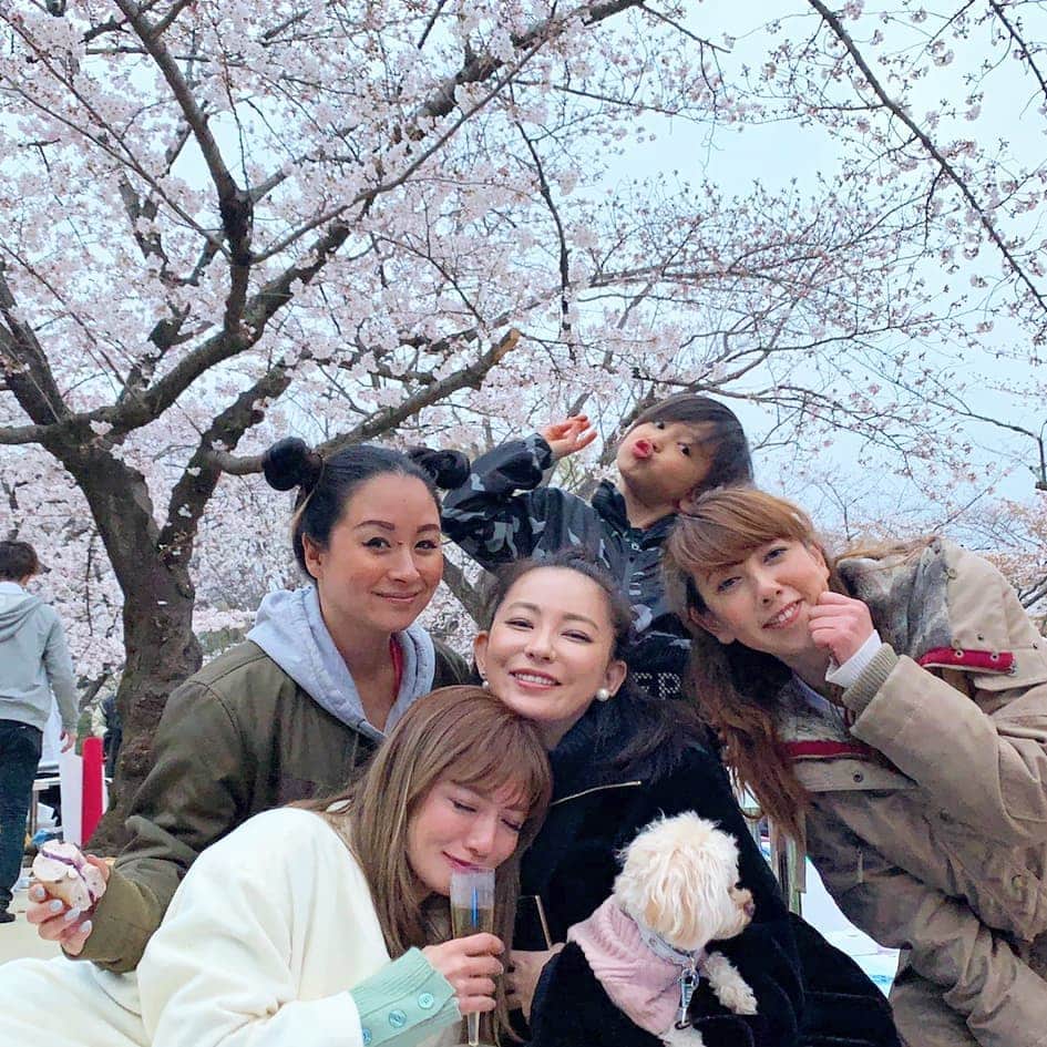 真山景子のインスタグラム：「本日は代々木公園でお花見🌸 #桜 #凄いお花見 #平成最後のお花見 #本当に凄すぎ 🌸桜とともに、思い出話に花も咲き🌸 20年以上も前からのお友達との再会✨😊」