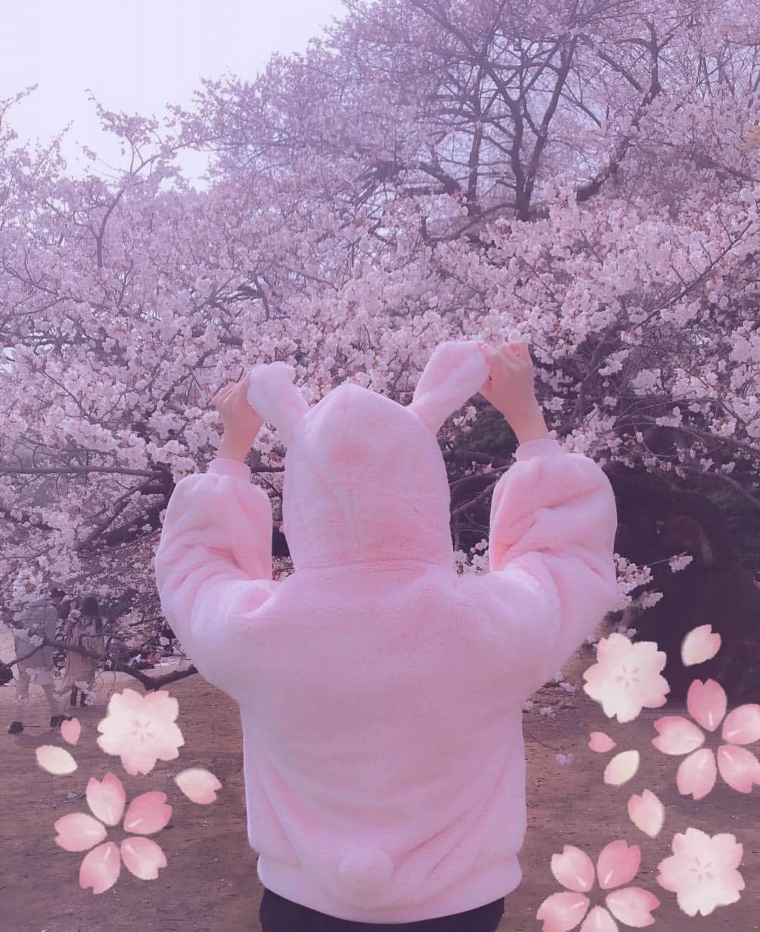 江崎びす子さんのインスタグラム写真 - (江崎びす子Instagram)「🌸 #新宿御苑 #桜 #cherryblossom」3月30日 19時42分 - bisukoezaki