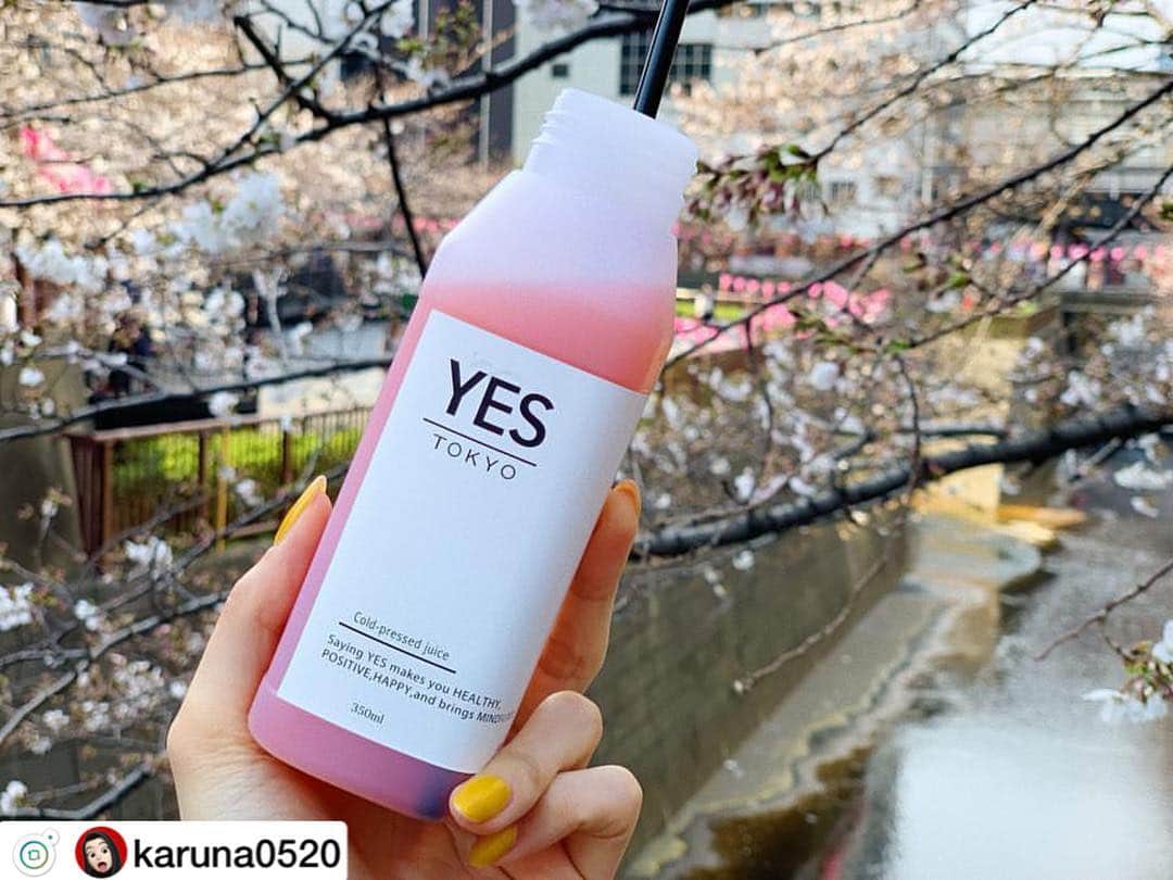 YES TOKYOのグルメインスタ