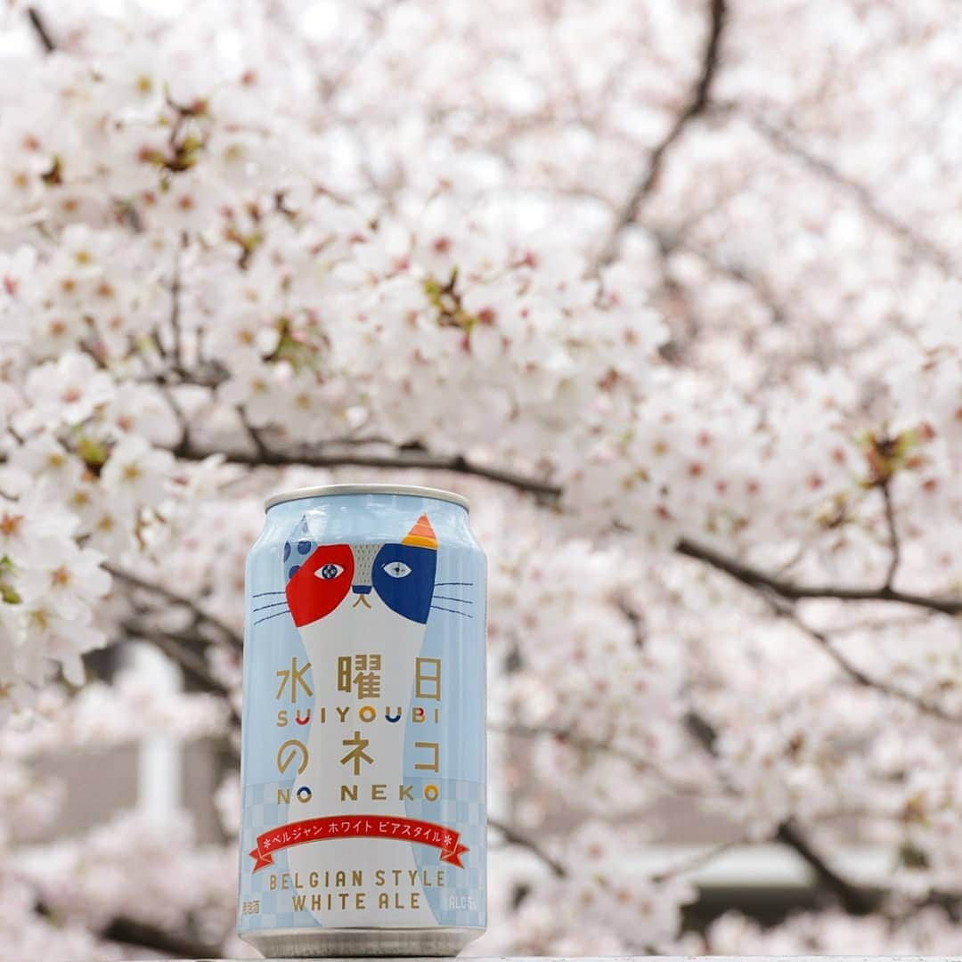 のインスタグラム：「こんばんは。  お天気が心配されましたが、本日は東中野の神田川桜並木でお花見をしてきました。  わずか数日で満開状態🌸モコモコの桜は可愛いなぁ。水曜日のネコちゃんを飲みながらのんびり。  その後は花より団子で讃岐屋の熱々出来立てのみたらし団子を食べました✨美味しい♥️です。  中目黒の桜並木には敵いませんが、東中野の桜並木もいいですよ☺️オススメ。 #桜 #桜前線2019 #東京花見スポット #はなまっぷ #花部 #ソメイヨシノ #東京 #東中野 #神田川 #ヤッホーブルーイング #水曜日のネコ #ビール #ビール好き #ビール女子 #飲酒タグラム #酒好きな人と繋がりたい #外飲み #花見 #beer #cherryblossom #tokyo #igersjp #tokyocameraclub #flowers #beertography」