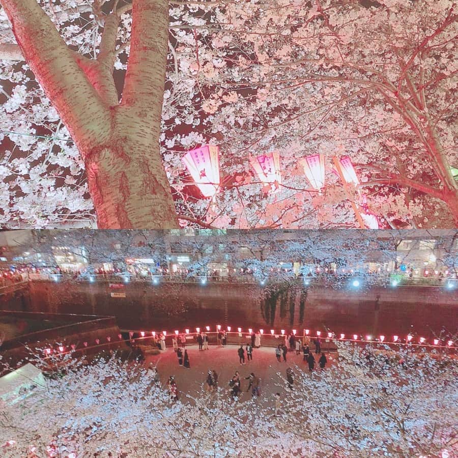 大貫彩香さんのインスタグラム写真 - (大貫彩香Instagram)「ありがとう楽しかった😊🍓 夜桜も綺麗だったなぁ〜🌸🌙」3月30日 20時07分 - sayaka_oonuki