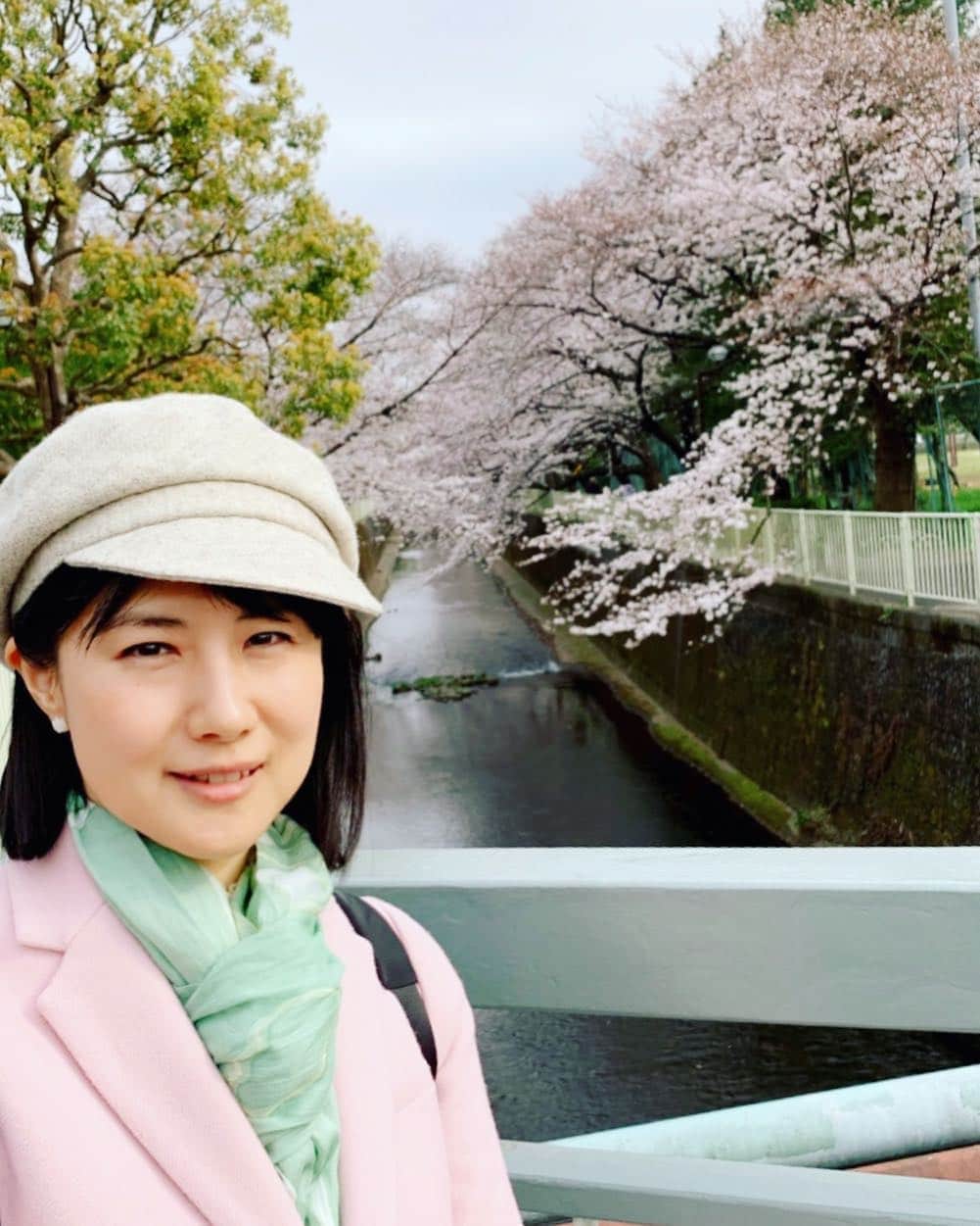 中江有里さんのインスタグラム写真 - (中江有里Instagram)「昼間の桜も。」3月30日 20時10分 - yurinbow1226