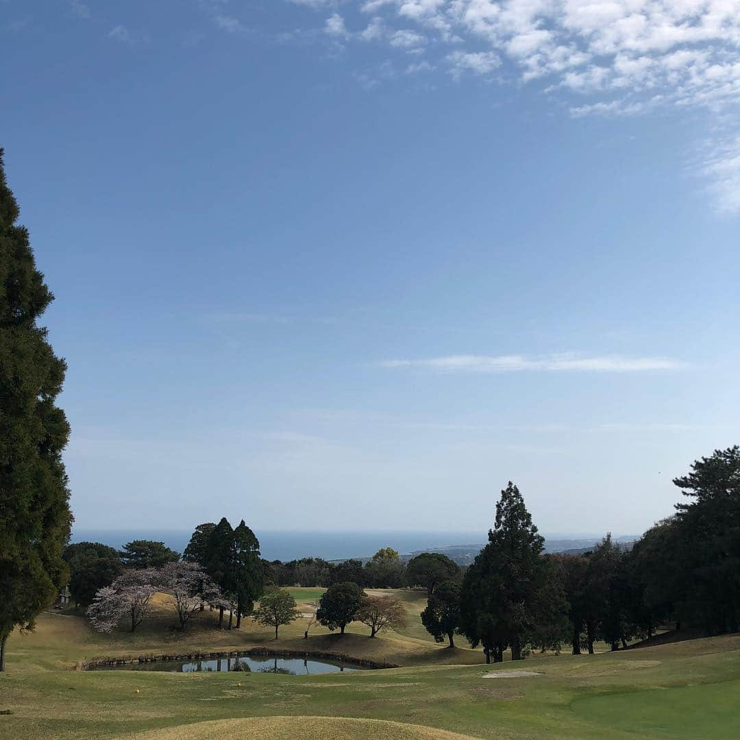 宮崎宣子さんのインスタグラム写真 - (宮崎宣子Instagram)「宮崎ゴルフ⛳️🏌️‍♀️ 美々津カントリークラブへ💓 ここは本当に難しいです😭 朝は涼しかったのに、すぐに20度越え🏌️‍♀️ 海を見下ろしながらのゴルフは最高ですよー🏝 桜が少し咲いてました🌸  I played golf in Miyazaki prefecture.  #宮崎ゴルフ #桜ゴルフ #美々津カントリークラブ #ゴルフ女子 #ゴルフウェア #アルチビオ #アルチビオコーデ #golf #golfgirl #golfwear #archivio #golflover #miyazakigolf」3月30日 20時20分 - miyazaki_nobuko