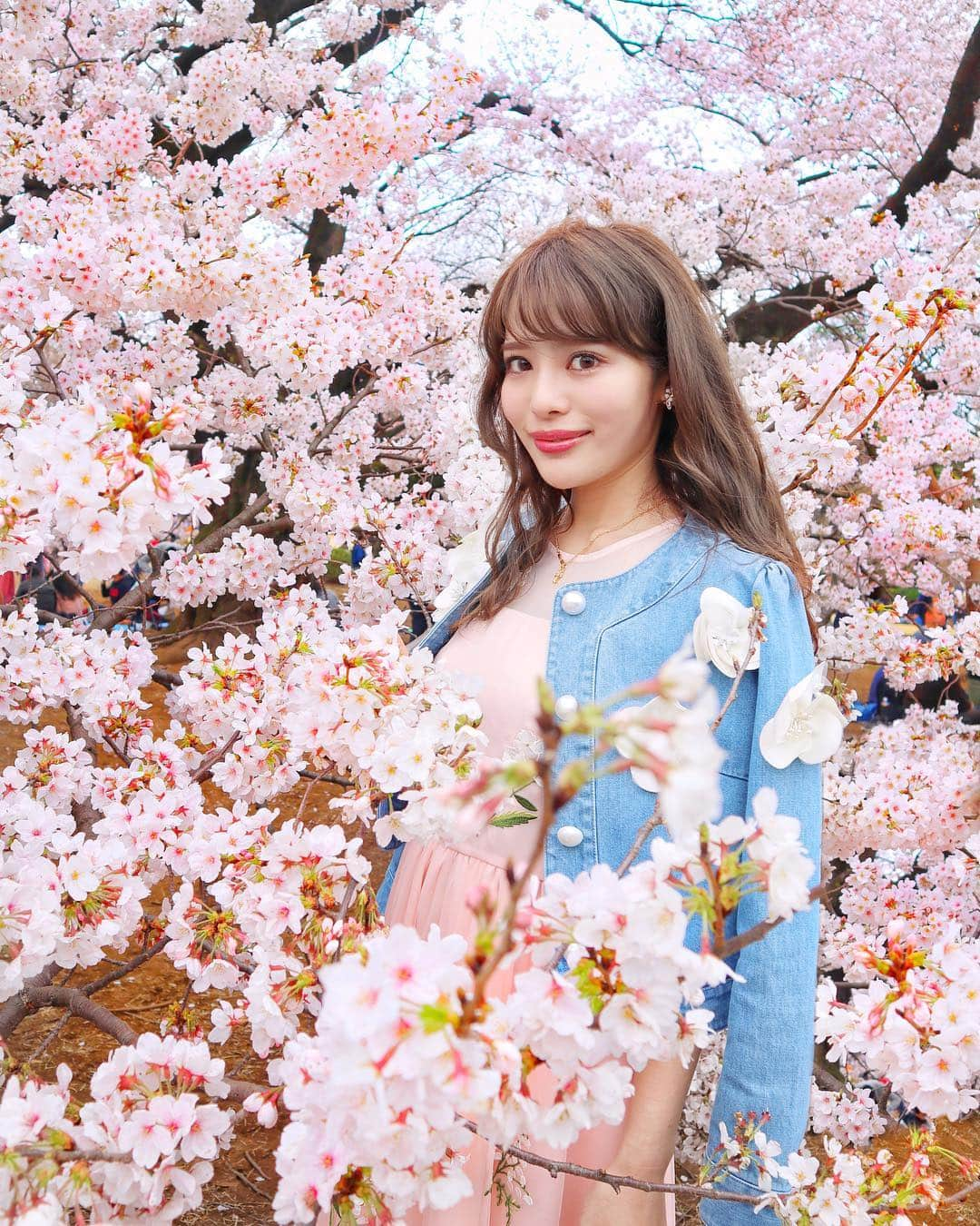 小沼瑞季さんのインスタグラム写真 - (小沼瑞季Instagram)「🌸💛🌸💛﻿ ﻿ ﻿ ﻿ 今日は新宿御苑へ行ってきた〜🌸🌸🌸﻿﻿ いつも目黒川行くから御苑は初なの🐶﻿ ほぼ満開だったぁ〜〜😍💘﻿﻿ ﻿﻿ こうやって低いところまで﻿﻿ 垂れ下がってる桜がたくさんあったから﻿﻿ 人が多くても写真撮りやすかったよ📷💕﻿﻿ ﻿﻿ ﻿﻿ そして今日のアウターは﻿﻿ 伊勢丹ポップアップのchestyで﻿﻿ getしてきたデニムジャケット💐﻿﻿ ﻿﻿ お花のコサージュが可愛すぎる🥺🌸🌼﻿﻿ 悩みに悩んでライトブルーに💗﻿﻿ ﻿﻿ ﻿﻿ jacket,one-piece♡#chesty﻿﻿ ﻿﻿ ﻿﻿ #shinjukugyoen#shinjukugyoennationalgarden #sakura#cherryblossom#shinjuku#新宿御苑#新宿#桜#さくら#お花見#ソメイヨシノ#染井吉野#平成最後の桜#チェスティ」3月30日 20時31分 - mizukikonuma