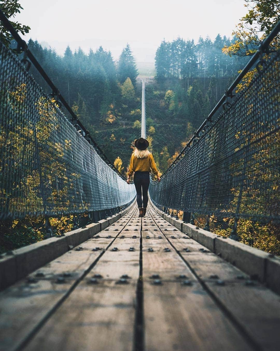 Discover Earthさんのインスタグラム写真 - (Discover EarthInstagram)「The beautiful Geierlay suspended bridge is situated in the low mountain range of the Hunsrück in central Germany and is a must visit if your are traveling in the region ! 🌲🇩🇪 Tag someone who will love this shot ! — 📍#DiscoverGermany — 📸 Photo by @mariobroehl ​」3月30日 20時33分 - discoverearth