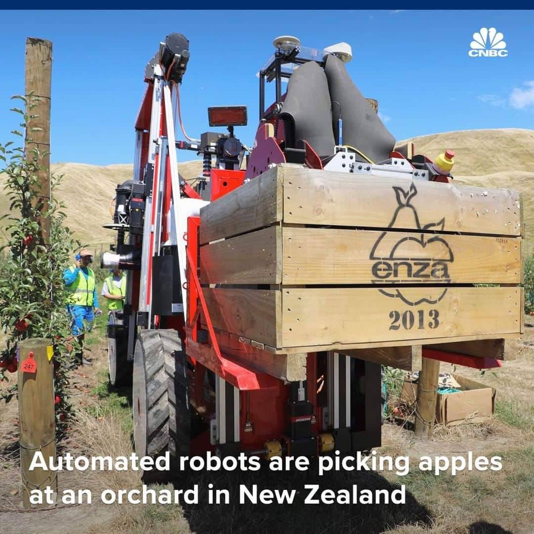 CNBCさんのインスタグラム写真 - (CNBCInstagram)「With @cnbcinternational: The next apple you eat may not have been picked by human hands. 🍎🤖⁣ ⁣ Robotic harvesters are being used to carry out a commercial apple harvest in New Zealand, according to fruit grower T&G Global.⁣ ⁣ The automated apple picking robots have been developed by Abundant Robotics, a California-based technology firm. The robots are being used at orchards in the Hawkes Bay area on the east coast of New Zealand's North Island. A variety of apples are being harvested by the automated pickers and the fruit will be sold in New Zealand and around the world.⁣ ⁣ You can read more, at the link in bio.⁣ ⁣ *⁣ *⁣ *⁣ *⁣ *⁣ *⁣ *⁣ *⁣ ⁣ #Apples #ApplePicking #NewZealand #NZ #Fruit #GrowingFruit #Garden #Gardening #Robotics #Robots #tech #Technology #Future #Orchards #california #CNBCInternational #CNBC #News」3月30日 20時41分 - cnbc