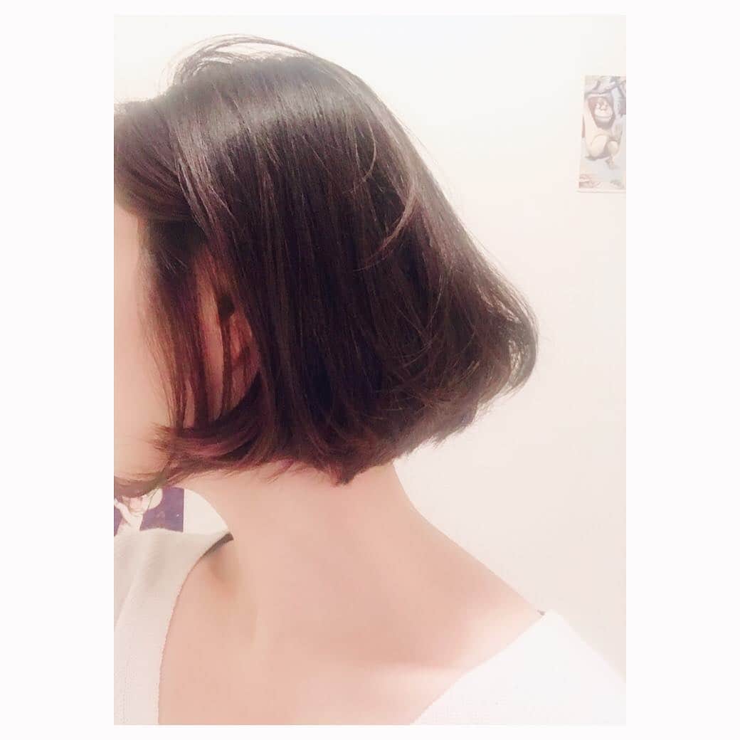 キタキマユさんのインスタグラム写真 - (キタキマユInstagram)「今回は、だいぶ短くしました🌸✨ ここまで襟足をだすのが初めてなので、なんだか、見られてはいけないところを人にさらしている気分ですが…😱⭐️ とてもスッキリ！！ 嬉しいです💖💖💖 きくちの神様🌸✨ この度も素敵にしていただき、本当にありがとうございました😊✨✨✨ ストレートショートボブ✂️ パーマ＆前髪なし✨ アイロンで少し動きつけてもらってます✨ @tadashi_kikuchi_luck  @luckhair1010  #luckhair  #ラックヘアー  #代官山 #ありがとうございました 💕 #襟足がさらされ放題 😱✨ #どんどんさらしていこう ⭐️ #newhairstyle  #changemyhair  #cut  #shortbob  #kitakimayu #キタキマユ」3月30日 20時46分 - kitakimayu_official
