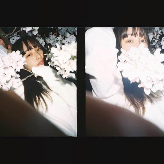 山田愛奈さんのインスタグラム写真 - (山田愛奈Instagram)「.  #平成最後の桜 #言ってみたかった #film #camera #photo #sakura  #けんけんは #カメラマンじゃなく #ヘアメイクさん #間違われがち」3月30日 21時00分 - aina_yama