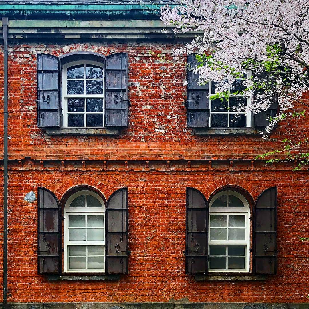 tsuno2noのインスタグラム：「30.March.2019 東京藝術大学音楽学部🌸 . #ザ壁部 #小窓部 #igersjp #ザ配管部 #instagram #こんななの #minimalint #9minimal7 #ic_minimal #arkiminimal #rsa_minimal #indies_gram #tv_simplicity #jj_minimalart #arte_minimal #タグキング👑 #minimalmood #soulminimalist #indies_minimal #ink361_minimal #instagramjapan #minimal_greece #ig_minimalshots #unlimitedminimal #paradiseofminimal #minimalexperience #minimal_perfection #jj_doorsandwindows #ihaveathingforminimal .」