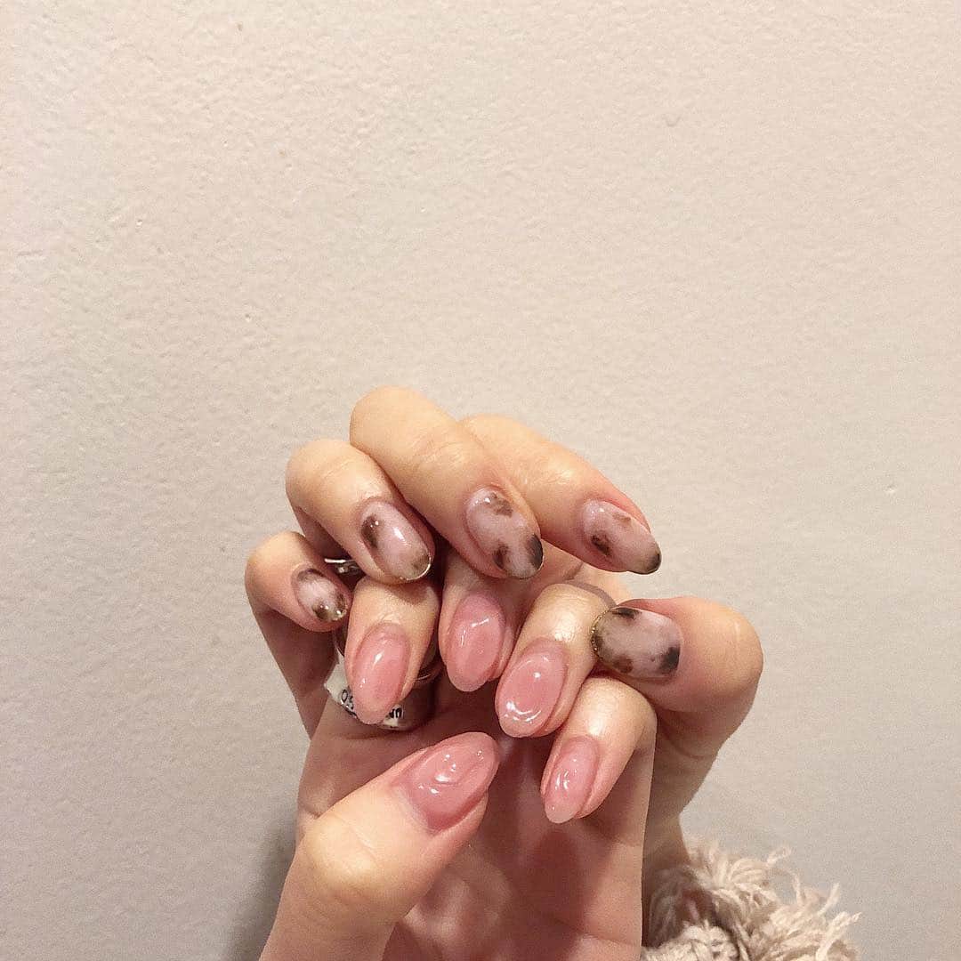 ムサシのインスタグラム