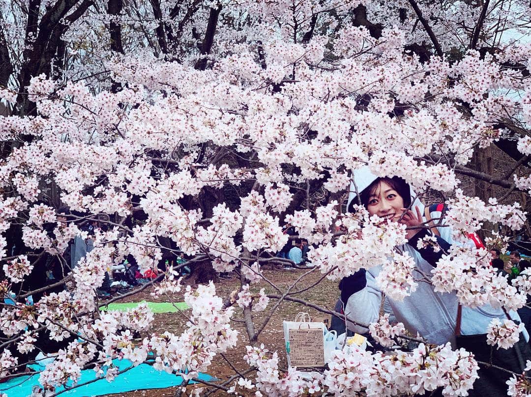 梨衣名さんのインスタグラム写真 - (梨衣名Instagram)「満開の桜🌸🌸🌸🌸🌸🌸🌸🌸」3月30日 21時18分 - leena3.1415926