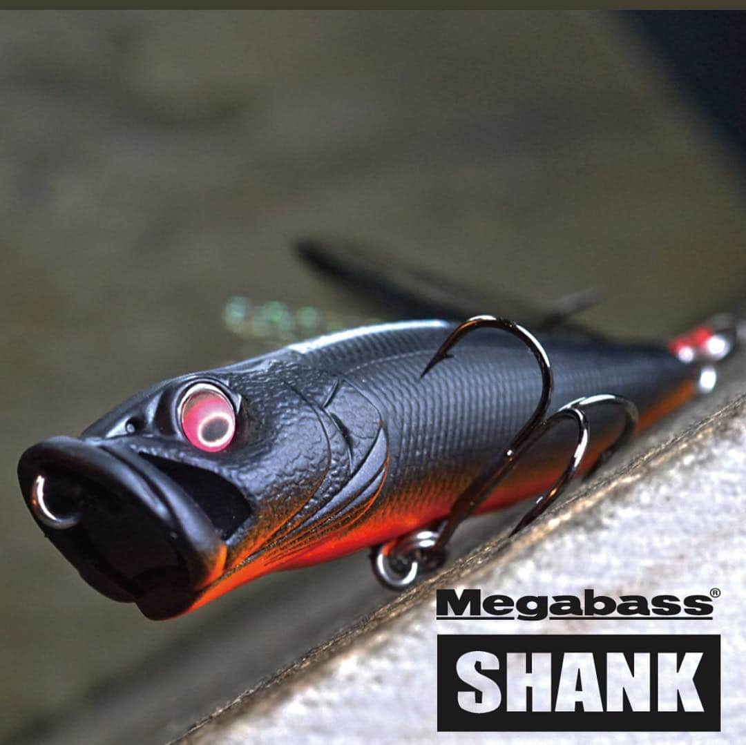 池本雄季さんのインスタグラム写真 - (池本雄季Instagram)「【GOODS情報】  Megabass × SHANK "POP-X / SHANK"  Price：¥2,000-（tax in）  ついにMegabassとのコラボが実現！  KEEP ON CASTiNG TOUR 2019 3/31(日) 熊谷公演より数量限定で発売決定！！ #SHANK095 #Megabass  shankofficial.com」3月30日 21時31分 - yuki__shank