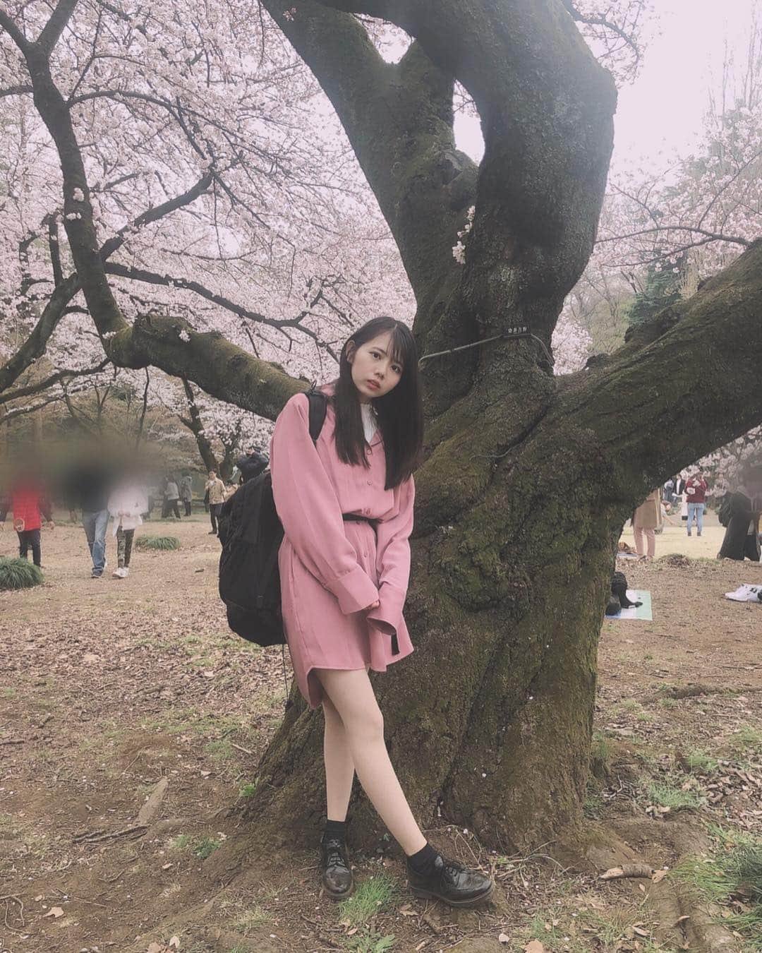 のインスタグラム：「#コーディネート ❤︎PN19SS-043 シャツワンピース( #punyus )  お花見してきた🌸 桜ということでピンクの服にしました😊 今日は少し肌寒くて曇ってたけど桜を見てたら春だなぁってなった💓 #fashion#ファッション#本日の服#プニュズ#ぷにゅず#お花見#桜#新宿御苑#nanamitanabe」