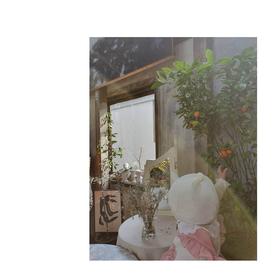ソ・ユジンさんのインスタグラム写真 - (ソ・ユジンInstagram)「식물이 많은 #그계절 #소여사제주 🌴」3月30日 21時35分 - yujin_so