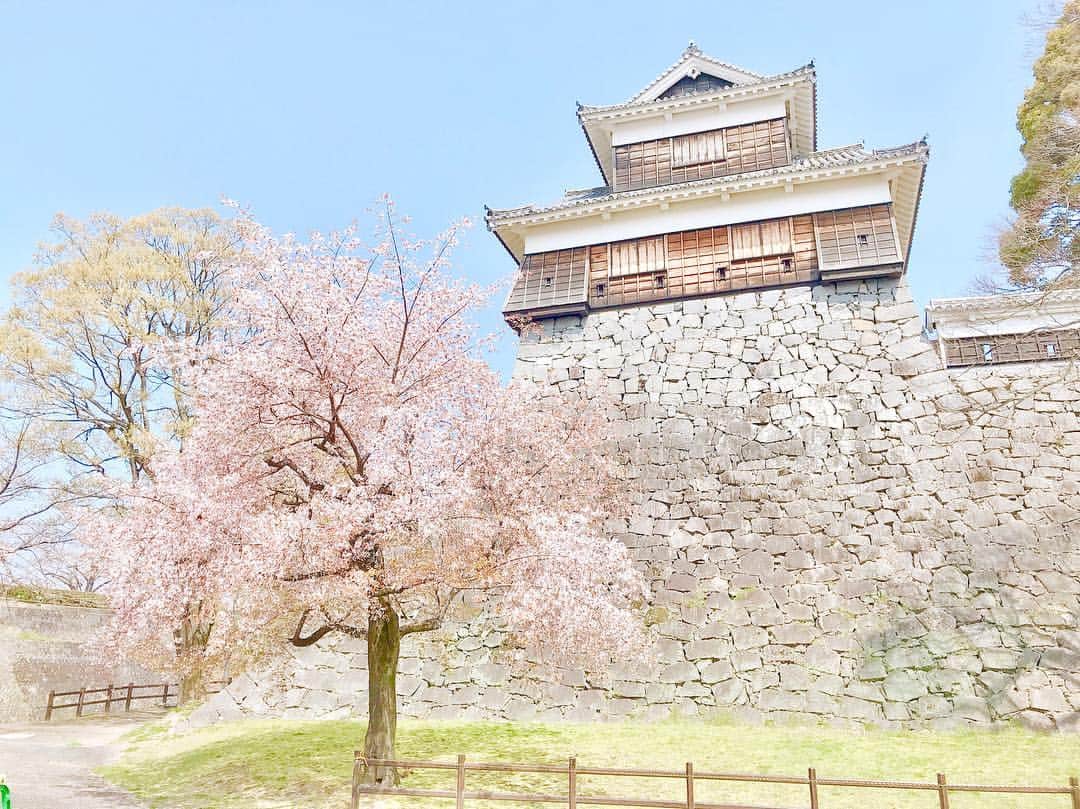 綾瀬麗奈さんのインスタグラム写真 - (綾瀬麗奈Instagram)「💐 . . 熊本城の中に入ることはできないけど 外からみても分かる被害の大きさでした。 お話しを聞かせて頂く機会もあって、 まだ定期的に地震がきていることや 何年経っても倒壊したお家の建て直しができていないこと 書ききれないくらいたくさんの思いがありました。 熊本に滞在した2日間で2回地震がきて、 私はものすごく恐怖を感じました。 この地で実際に見て聞いて感じたことは 一生忘れないし、伝えていきたいな。 桜はめちゃくちゃ綺麗に咲いてるし、 あたたかく迎えて下さる方ばかりで、 私がたくさんパワーを頂きました。 ありがとうございました😌 . . . #熊本城 #桜 #熊本旅行 #熊本観光 . #綾瀬麗奈 #アイドル #dela #役者 #名古屋 #nagoya #名古屋観光文化交流特命大使 #トレーニング女子 #筋トレ女子 #御朱印ガール #りんご飴 #ハムスターのいる生活 #荒野行動女子 #tiktok #tiktokjapan #ティックトッカー」3月30日 21時49分 - ayasereina