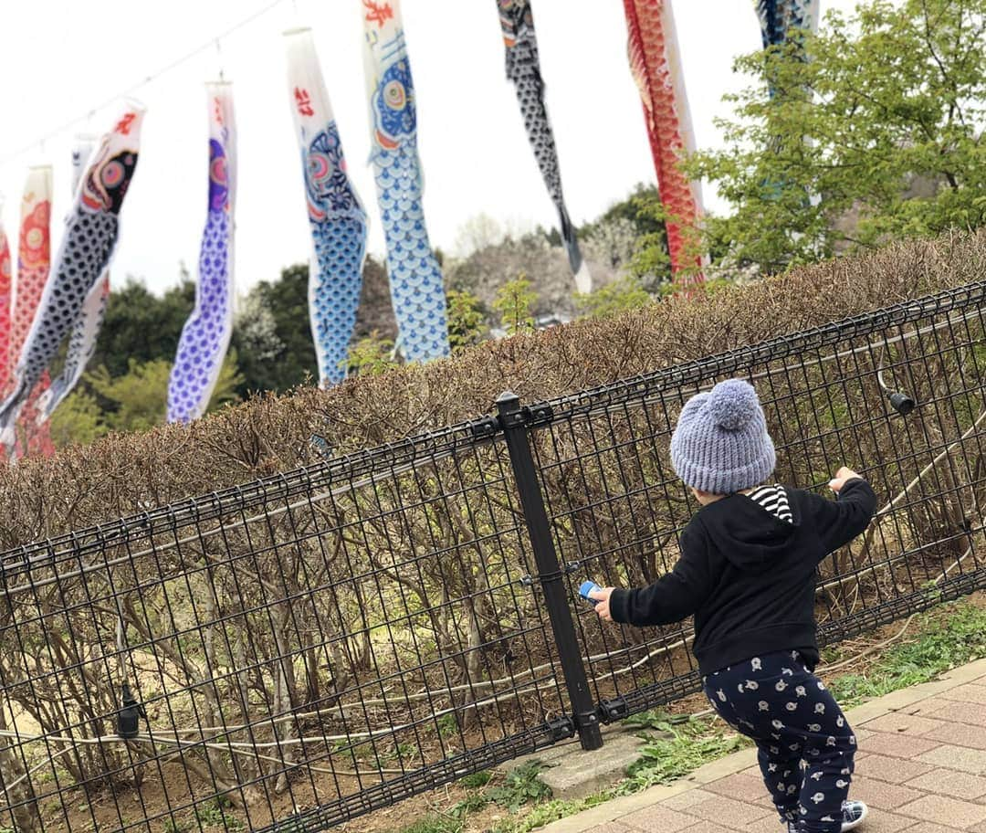 TAKAみちのくさんのインスタグラム写真 - (TAKAみちのくInstagram)「我が子ながら可愛すぎる(ﾉ≧▽≦)ﾉ  お気に入りのミニカーは何があっても手放さない！  二枚目お腹出てる！！ 三枚目ご機嫌ちゃんで踊ってるみたい☺️ 親バカ過ぎてすいません😣💦⤵️ #べびみちのく  #ちびみちのく  #親バカ」3月30日 21時57分 - takam69