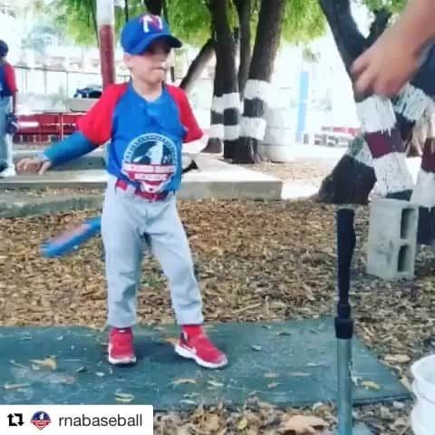 リカルド・ナニータのインスタグラム：「Grande! 👏🏻 #Repost @rnabaseball with @get_repost ・・・ Todo está en la disposición. Querer es poder!! Es muy importante decirle a nuestros niños que ellos pueden lograr todo lo que se propongan.  Ricardo Nanita Academy  Para niños de 4 a 13 años  Trae a tus hijos a clases de prueba Lunes Miercoles y Viernes en nuestras dos sucursales Charles Summer y los Picapiedras Ens Quisqueya de 3 a 5:30 pm  #rnanita #rnabaseball #losniñospueden #nadaesimposiblealquecree #deporteyfamilia #deporteysalud #niñosjugandopelota #baseballrd #mlbrd #RBI #ashtonschool #celprd #mcschool #jaimemolinamota #americanchristianschool #loschicuelos #elconsa」