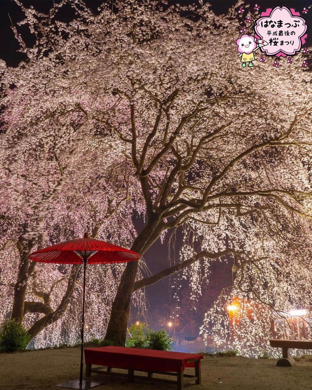 はなまっぷ❁日本の花風景さんのインスタグラム写真 - (はなまっぷ❁日本の花風景Instagram)「🍃🌸はなまっぷ平成最後の桜まつり🌸🍃 * @ruu_chin3538 さんの 平成の桜に花まるを💮 * 平成を彩る日本の美しい桜をありがとうございます😊🌸🍃 * 福岡  #身延桜 Ukiha, Fukuoka Pref. * 見頃を過ぎている場所もご紹介しています。 お出かけの際はHP等で最新の情報をご確認くださいね🙏🌸🍃 * 🌸•••🍃•••🌸•••🍃•••🌸•••🍃•••🌸 * 🌸桜まつり概要🌸 * 期間:平成最後の日まで タグ:#はなまっぷ * #はなまっぷ  のタグの中から、桜のお写真をどんどんご紹介させていただきます。期間中はランダムに、複数枚投稿でもご紹介させていただく場合がございます。 * #桜#sakura#花見#さくら#日本#春#花#平成最後の#満開#法華原華庭園 #夜桜 * 🌸•••🍃•••🌸•••🍃•••🌸•••🍃•••🌸 * はなまっぷより * 💌LINEスタンプ「はなまっぷちゃん」絶賛発売中！みなさんのLINEにも花まるを💮 💌はなまっぷ本、Amazonや全国の書店さんで満開です！ぜひお手にとっていただけると嬉しいです🌸 * LINEスタンプ、はなまっぷ本は、プロフ欄記載のTwitterアカウントよりご確認ください。 * 🌸•••🍃•••🌸•••🍃•••🌸•••🍃•••🌸 *」3月30日 21時57分 - hanamap