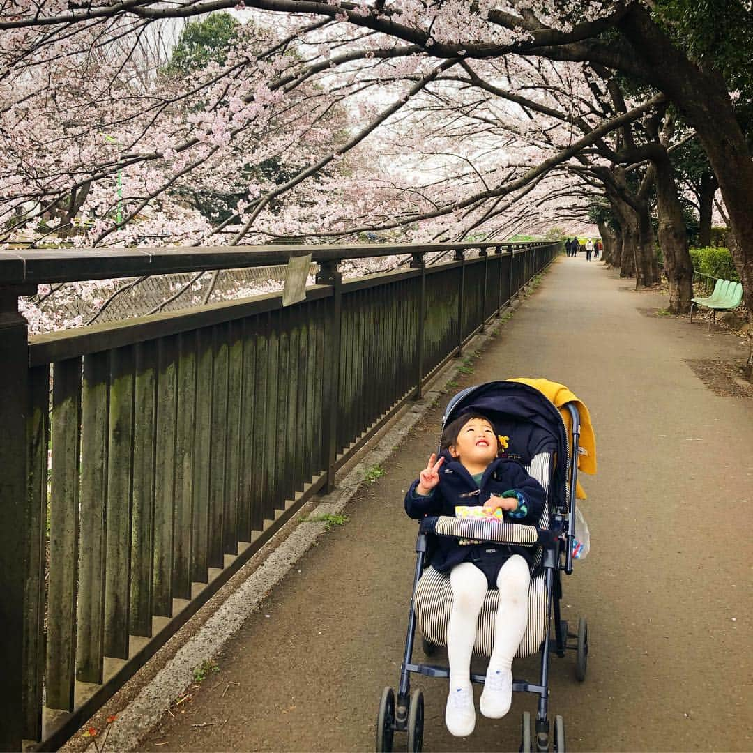 新井美穂のインスタグラム