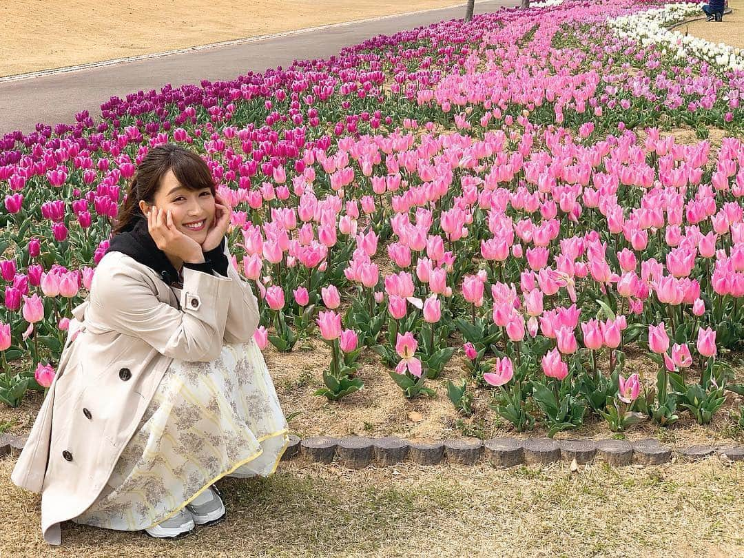 岩本恵美加さんのインスタグラム写真 - (岩本恵美加Instagram)「❁.*･ﾟ * 先日、吉田公園のチューリップを 見に行ってきました☺️✨ ㅤㅤ チューリップも他のお花も 綺麗に咲いていました〜💓 ㅤㅤ ちなみに今日からチューリップまつり🌷 今日の雨…お花さんたち大丈夫だったかな😳 ㅤㅤ チューリップは終わりかけもあったけど 桜はこれからだし、蕾のお花もたくさんありましたよ🌸 ㅤㅤ #flower #tulip #tulips #poppy #spring #instagood #instaflower #flowerstagram #shizuoka #吉田公園 #吉田公園チューリップまつり #チューリップ #チューリップまつり #お花 #花 #花見 #春 #静岡」3月30日 21時54分 - emk_iwmt