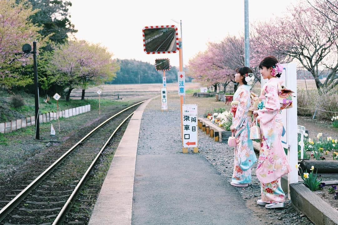 長澤佑香さんのインスタグラム写真 - (長澤佑香Instagram)「‎⋆ 2着目はピンクの振袖💖 桜の柄です🌸 自分の成人式の時に着た振袖に少し似てる😌 二人並ぶとキキララカラー💕 ‎⋆ ‎⋆ #撮影 #千成屋 #ANGE #茨城 #振袖モデル #振袖 #着物 #古典柄 #成人式 #成人式振袖 #振袖カタログ #着付け #振袖コーディネート #和 #生花 #髪飾り #帯 #帯結び #帯結びアレンジ #中根駅 #キキララカラー #kimono #furisode #japonicastyle」3月30日 22時04分 - ykngsw