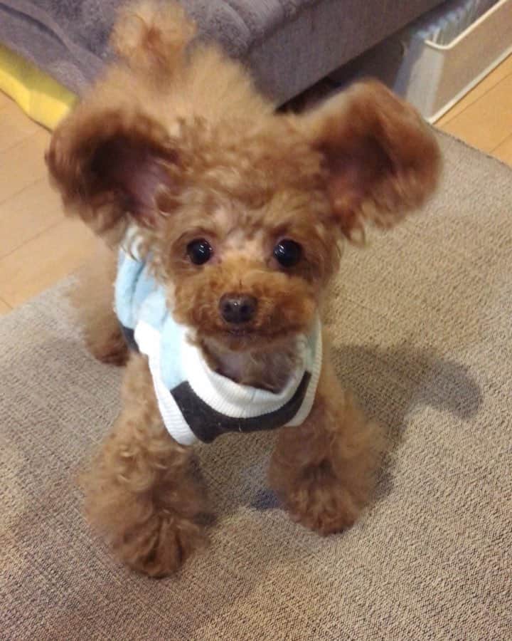 toshiyaotsuboのインスタグラム