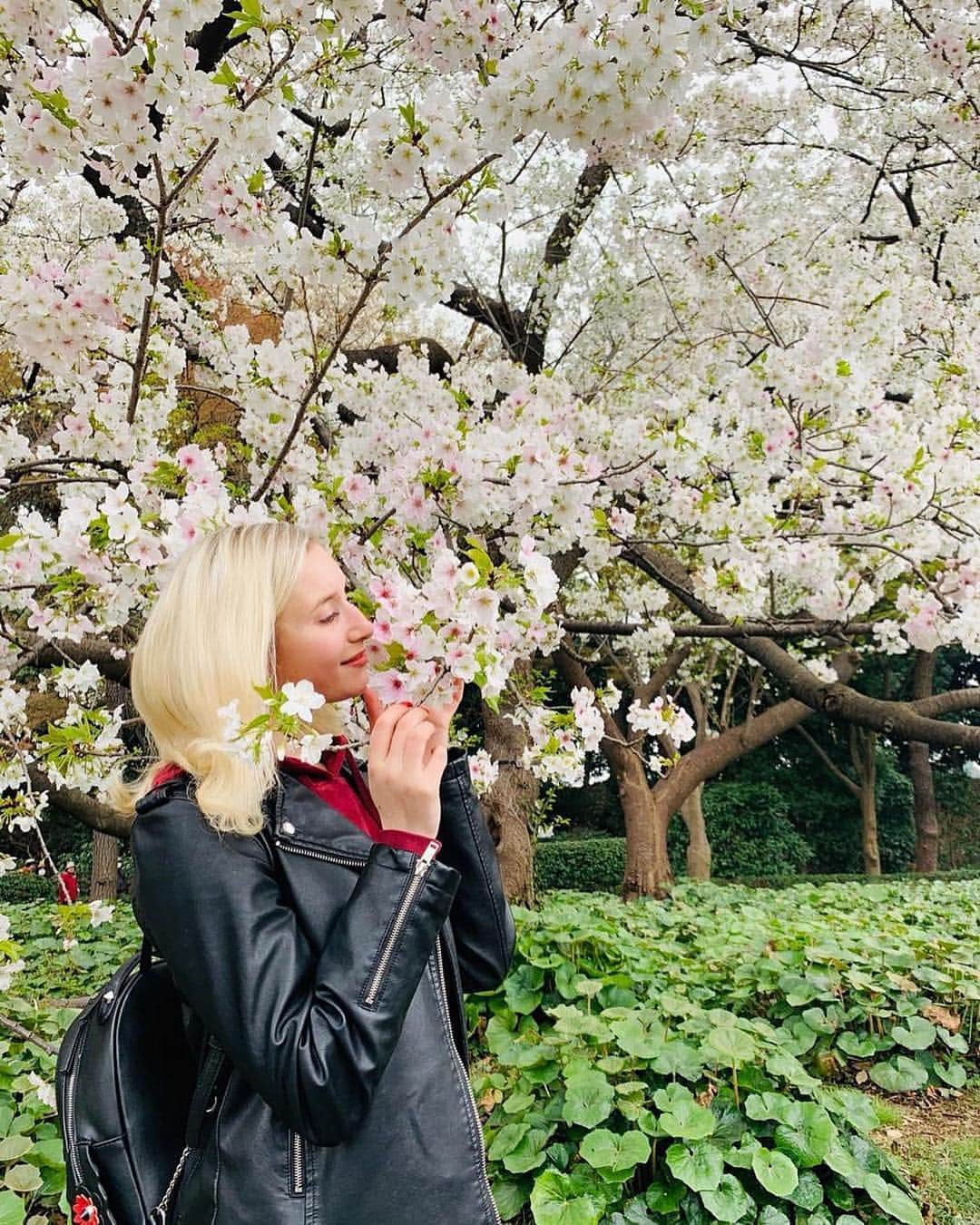 アンナ・ヤノフスカヤのインスタグラム：「#cherryblossom 🌸 Spring in Japan...It’s inspiring✨ 空気中の春 #japan #tokyo #spring #sakura #LetsGoSomeWhere #🇯🇵」