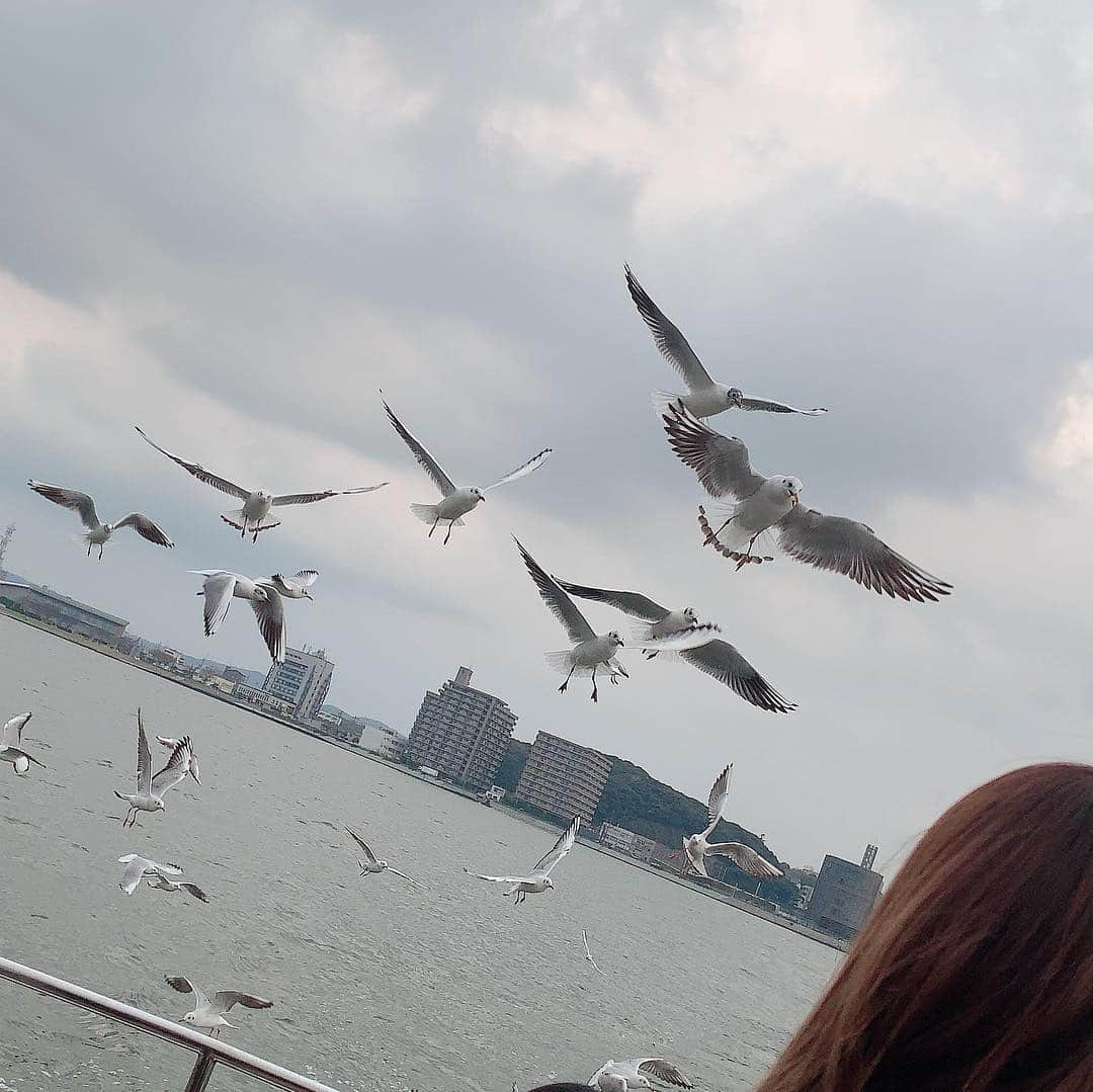 海月咲希さんのインスタグラム写真 - (海月咲希Instagram)「宍道湖の鳥達。鳥のシルエットって綺麗だなぁって思った。 #島根県 #しまねカミコン #宍道湖 #遊覧船 #実際鳥の迫力すごくてびびってた」3月30日 22時11分 - saki_mitsuki