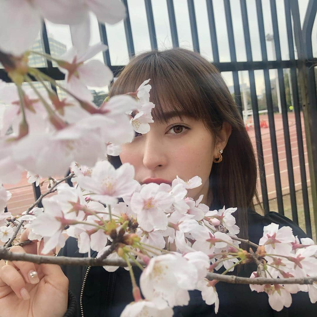 平田梨奈さんのインスタグラム写真 - (平田梨奈Instagram)「🌸 #sakura #花見 #桜」3月30日 22時24分 - hirari_official