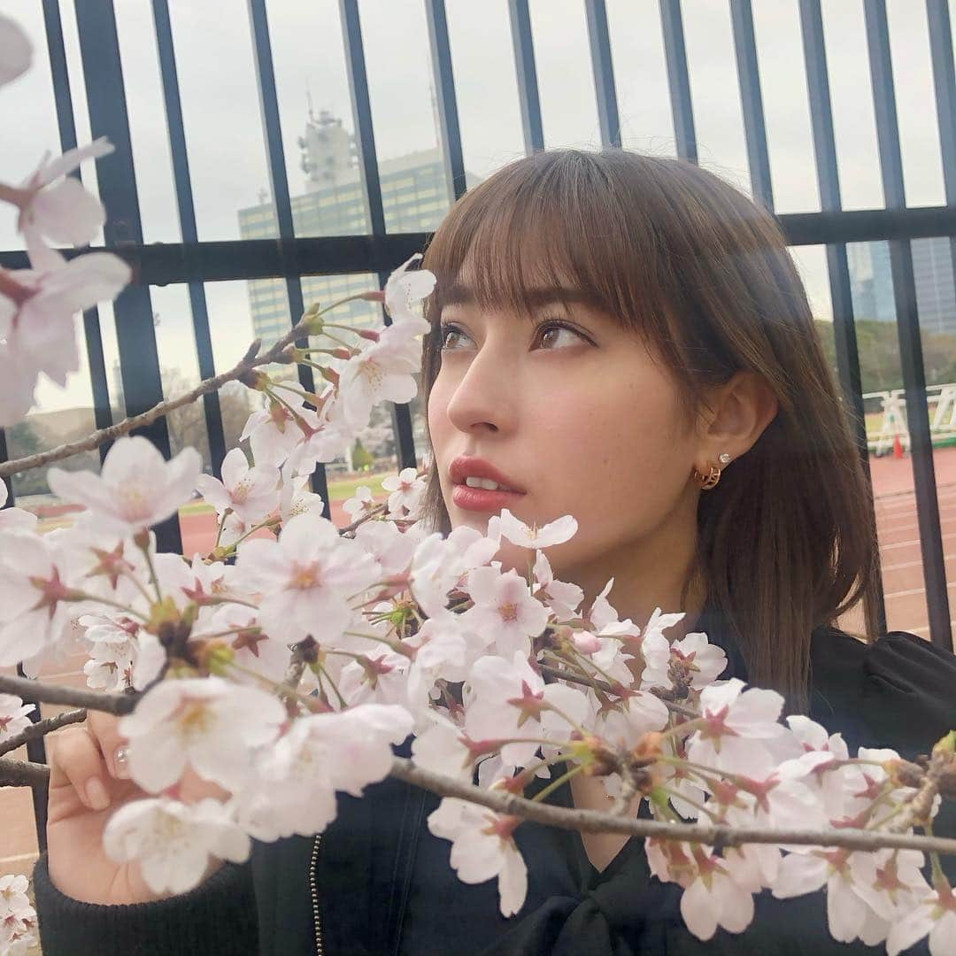 平田梨奈さんのインスタグラム写真 - (平田梨奈Instagram)「🌸 #sakura #花見 #桜」3月30日 22時24分 - hirari_official