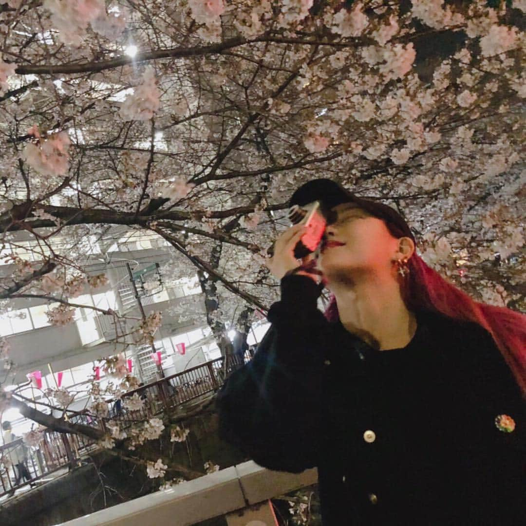 須田アンナさんのインスタグラム写真 - (須田アンナInstagram)「. 🌸🌸🌸🌸🌸 ピンクのお花。 毎日に感謝して、笑顔を忘れずに;)♡」3月30日 22時21分 - annastagram.official