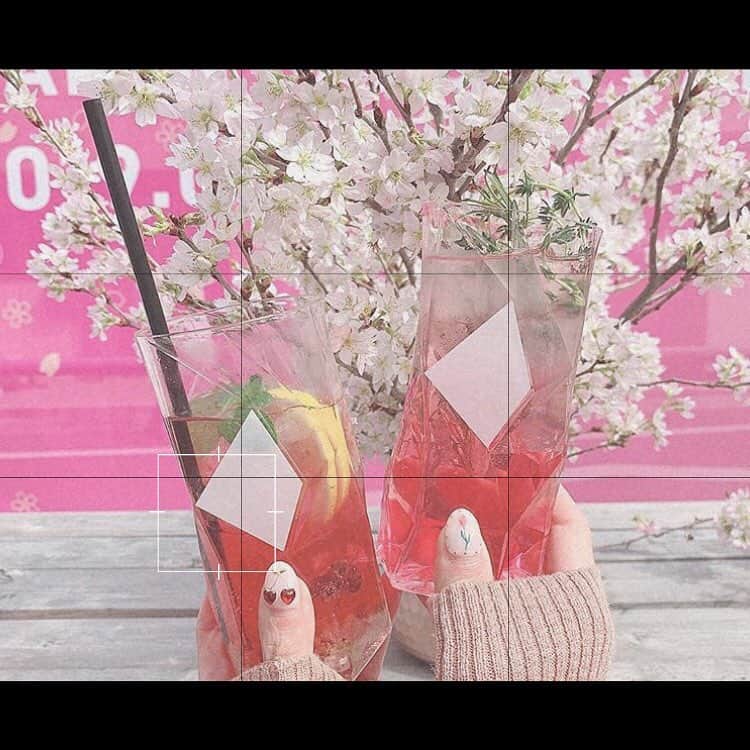 のインスタグラム：「#春ドリンク﻿ ﻿ 春に映えるドリンク🍹﻿ ﻿ #snowcam #snowアプリ #instagood #l4l﻿ #rizincafe #春 #さくら #インスタ映え #インスタ加工 #おしゃれさんと繋がりたい﻿ ﻿」