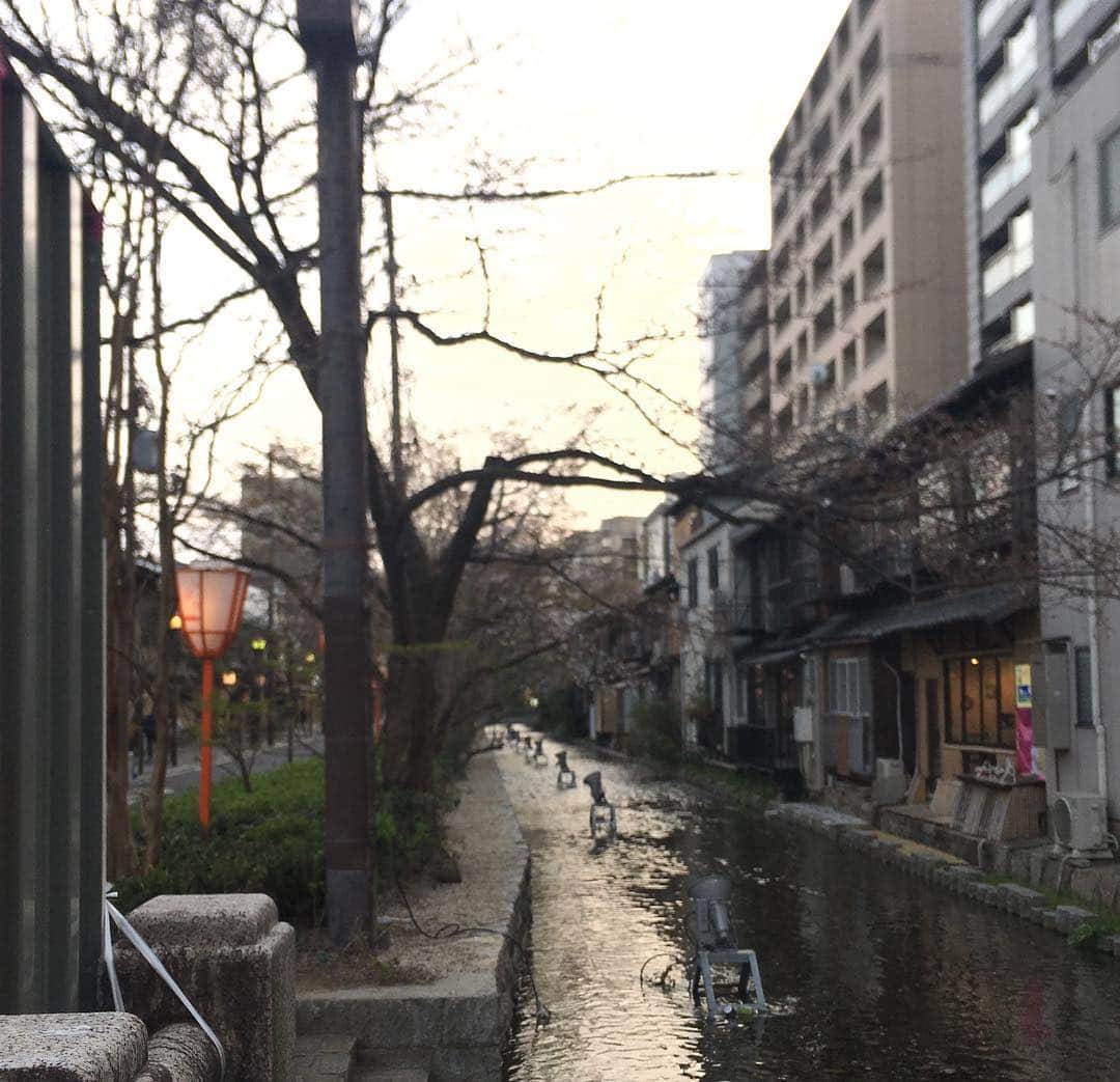 荒生暁子さんのインスタグラム写真 - (荒生暁子Instagram)「京都のCHKアナウンススクールで 社長とミーティング。 帰りは河原町ー木屋町通りを散策。 京都は歩くだけで楽しい大好きな街❤️ #京都出張#京都#chkアナウンススクール  #CHK#アナウンススクール#声優スクール」3月30日 22時59分 - akikoarao0904