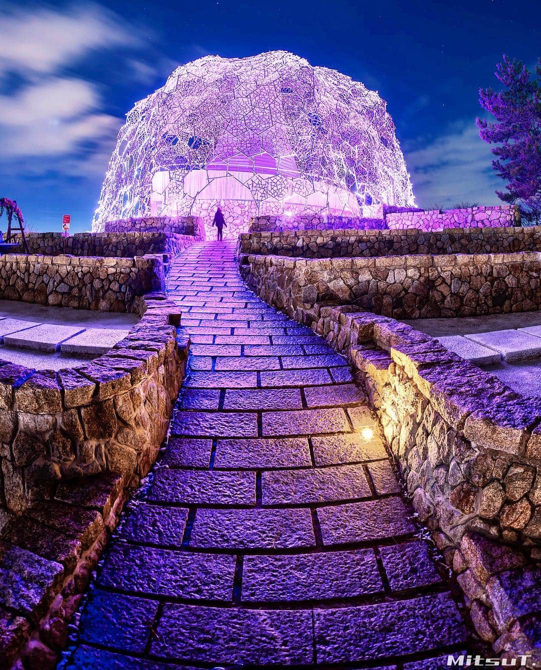 Mitsuのグルメインスタ