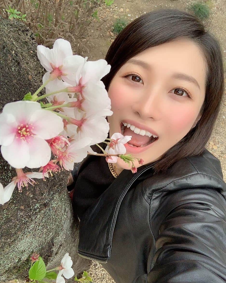 春原未来さんのインスタグラム写真 - (春原未来Instagram)「#東京 は #桜 #見頃 です🌸 #お花見 している人もたくさん！ 明日の #オフ会 は,外で #写真 も撮れるし,#屋形船 にも乗れるから #思い出 いっぱい作ろうね♡♡ . #tokyo #welcomed #cherryblossom #sakura . #ohanami There is a Japanese tradition of eating and drinking while watching the cherry blossoms. There are a lot of people enjoying it. A flower that only blooms once a year.  #wonderful #enjoyspring #벚꽃 #springhascome . #春原未来 #増上寺 #zojoji #minatoku #tokyotower . あと, #オールナイト #vr イベントですが,詳細については主催者に聞いてください。 Twitterで, 【@casanova_vr】を検索していただければ出ます。参加希望の方は,私にDMだけしてくれればそれで完了です。当日,受付で自分のアカウント名をスタッフに伝えてください。InstagramからDMした方は,インスタのアカウント名を。TwitterからDMしたならそちらの名前を。簡単でしょ！☺︎︎」3月30日 23時05分 - sunohara_miki