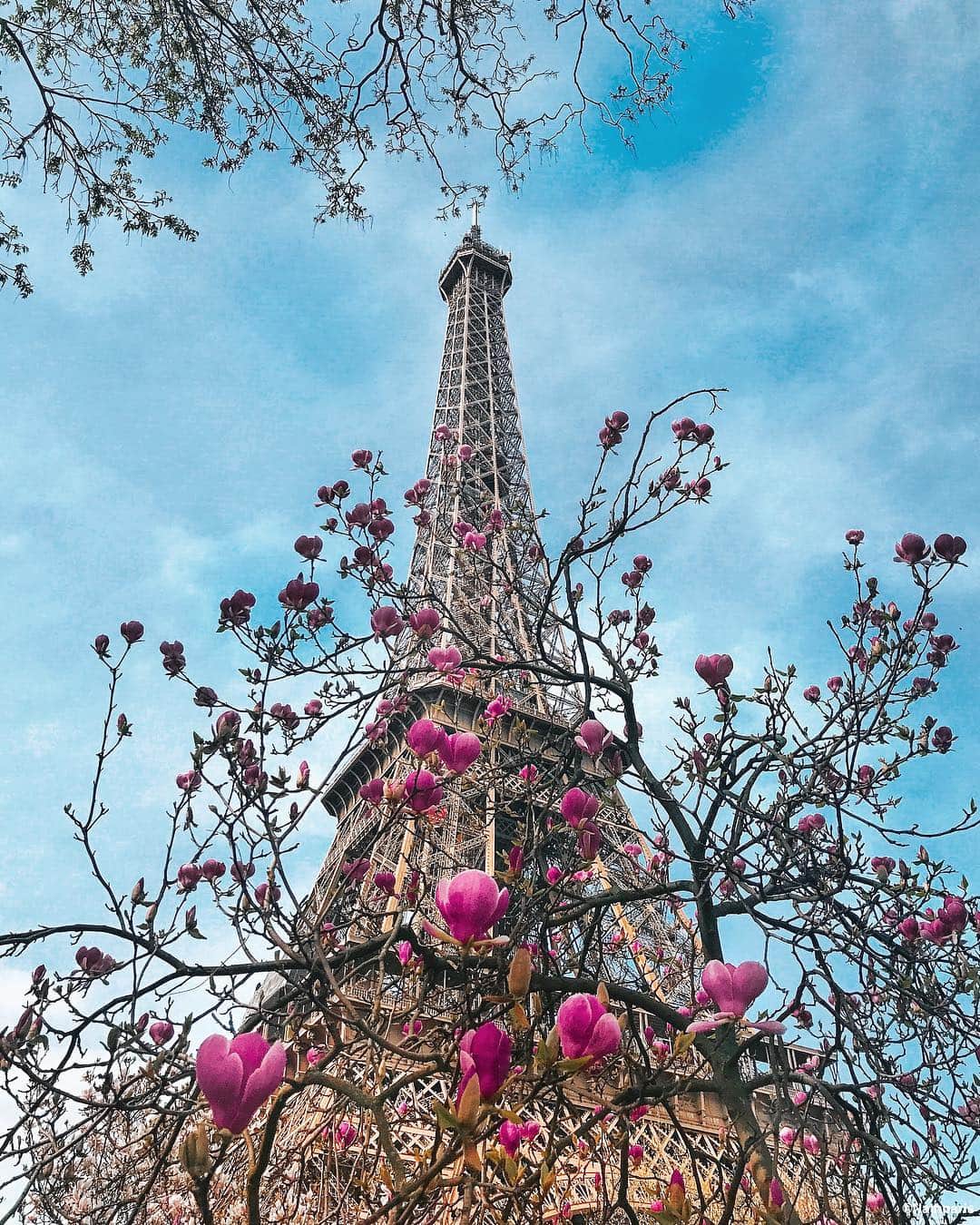 nathparisのインスタグラム：「Happy 130 Eiffel Tower! #paris」