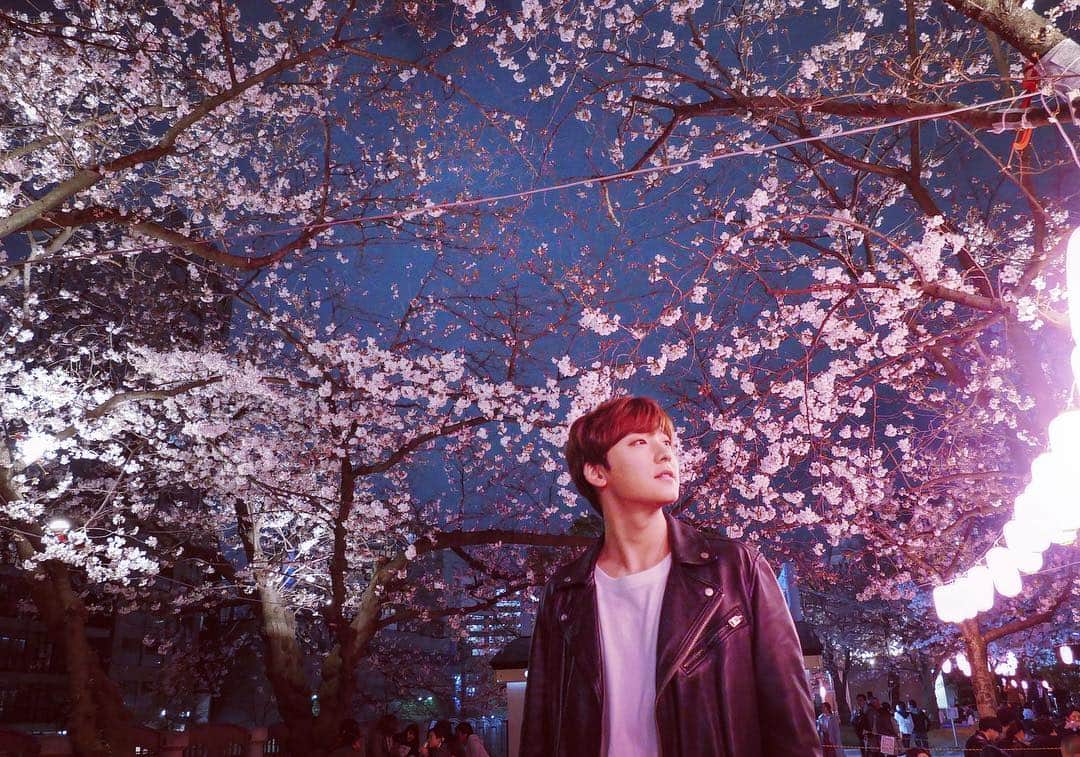 ケビン さんのインスタグラム写真 - (ケビン Instagram)「Awestruck by the cherry blossoms glowing in the night sky🌸✨ 夜桜🌸🌸🌸🌸 밤벚꽃🌸🌸🌸🌸 #cherryblossom #spring  #japan  #photography」3月30日 23時36分 - kevinwoo_official