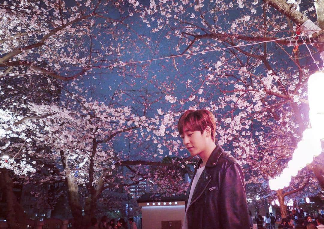 ケビン さんのインスタグラム写真 - (ケビン Instagram)「Awestruck by the cherry blossoms glowing in the night sky🌸✨ 夜桜🌸🌸🌸🌸 밤벚꽃🌸🌸🌸🌸 #cherryblossom #spring  #japan  #photography」3月30日 23時36分 - kevinwoo_official