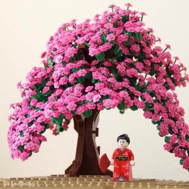 LEGOさんのインスタグラム写真 - (LEGOInstagram)「A flower can't blossom without sunshine 🌸  #LEGO #Spring #UGC #FanMade #CherryBlossomSeason Credit: @j.s.chong」3月31日 0時00分 - lego