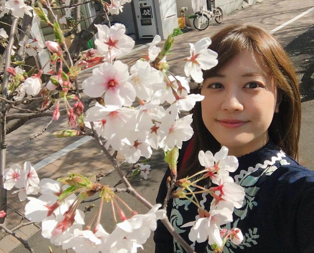 福田沙紀さんのインスタグラム写真 - (福田沙紀Instagram)「うわぁ！桜🌸と 先週暖かい日にパチリ。 せっかく満開なのに急に肌寒いですよね。  厚着で風邪ひかないように皆様お花見楽しんでください🍡🌸」3月31日 0時09分 - sakifukuda_official
