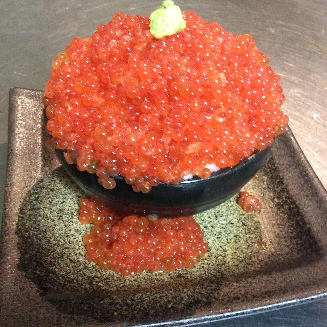 のインスタグラム：「毎度おおきに〜〜🥳知床漁場枚方店です。本日もたくさんのご来店ありがとうございました😊またのご来店お待ちしております🙇‍♂️ #北海道#知床#枚方#駅近#居酒屋#アルバイト#募集中#宴会#飲み放題#イクラ#鮮魚」