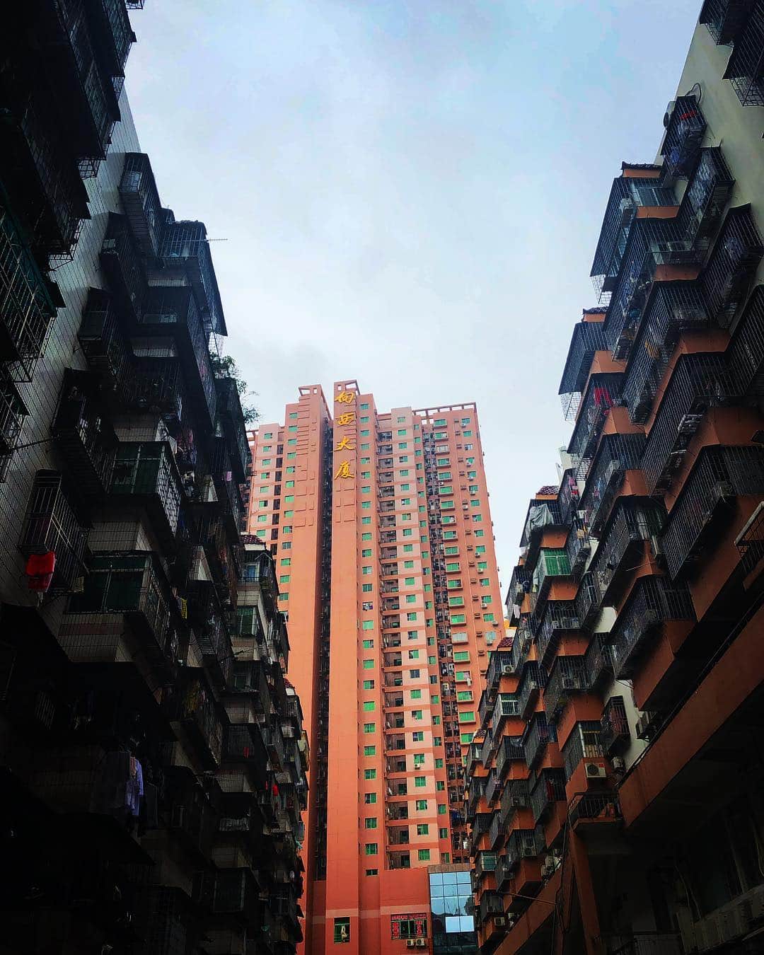 George のインスタグラム：「🇨🇳2019 Shenzhen🇨🇳 #深圳」