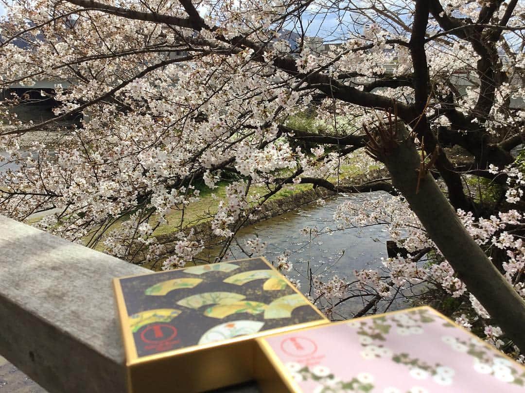 のインスタグラム：「春の訪れを知らせる桜の花🌸 出会いや別れもあり、人のあたたかさを改めて感じられる季節です💓 . 大切な方への贈り物にも是非サロンドロワイヤル京都のチョコレートをご利用くださいませ✨ . 和の素材を使ったボンボンショコラもご用意しております。 . . . #サロンドロワイヤル京都 #サロンドロワイヤル #京都 #京都スイーツ #ボンボンショコラ #京都カフェ #チョコレートショップ #ショコラトリー #パティスリー #チョコレート #チョコ #ショコラ #chocolate #chocolat #chocolatier #salonderoyal #贈り物 #プレゼント #桜 #春 #ありがとう #感謝」