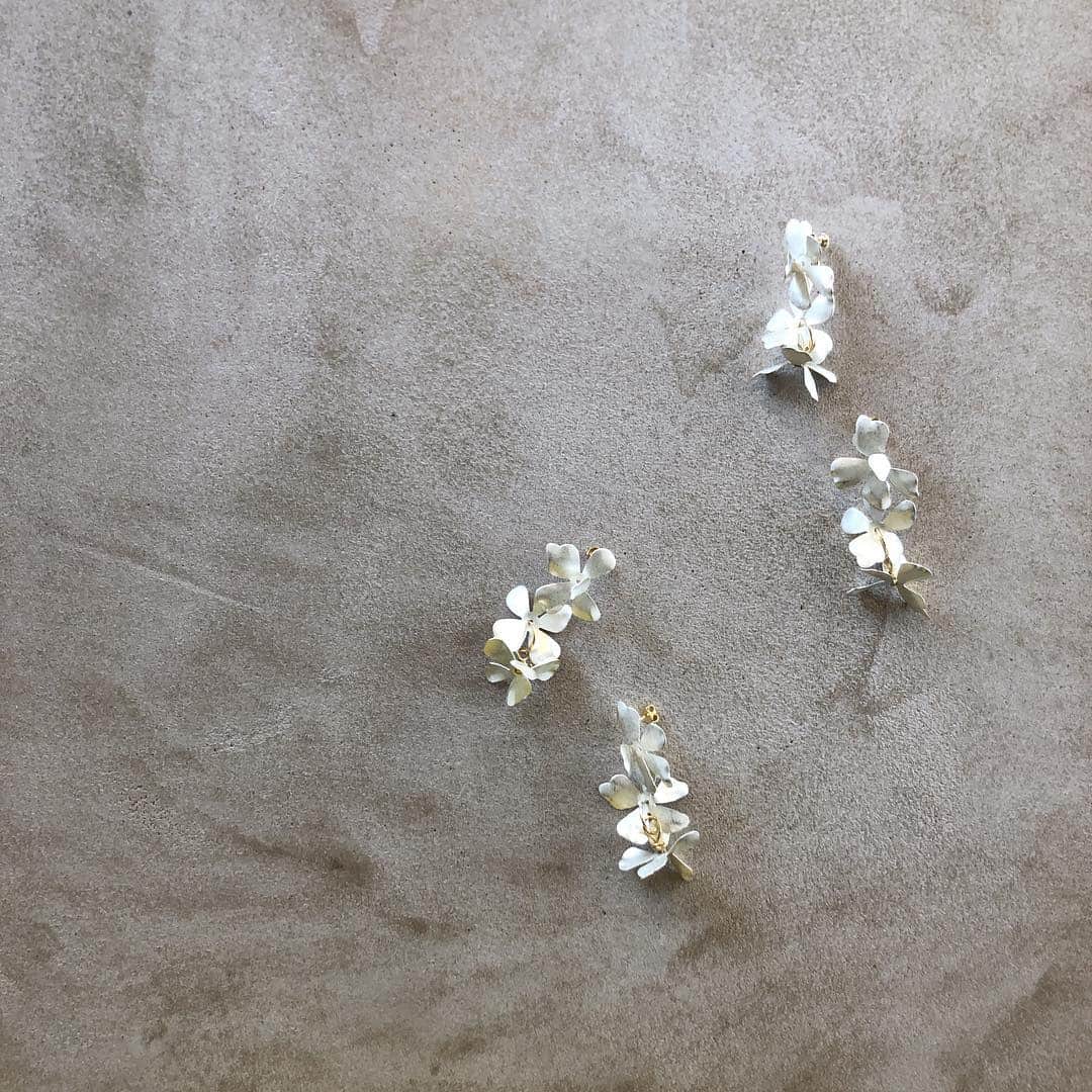 のインスタグラム：「木蓮シリーズ再販致します😌」