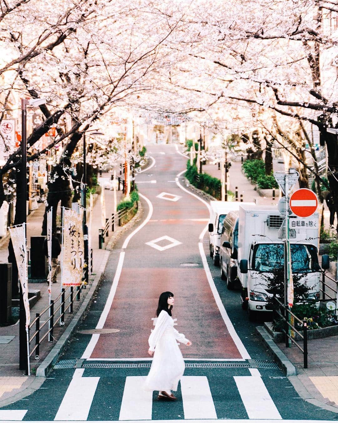 GENTAのインスタグラム：「Now in bloom in Tokyo🌸 ㅤ My original Lightroom presets were released at @curbonjp . Please check the URL on my profile for detail. ㅤ 僕のオリジナルLightroomプリセットが @curbonjp から発売されました。配信されているプリセットは僕が実際に写真編集で利用しているものです。プリセットの詳細はプロフィールのURLからご確認ください。 ㅤ」