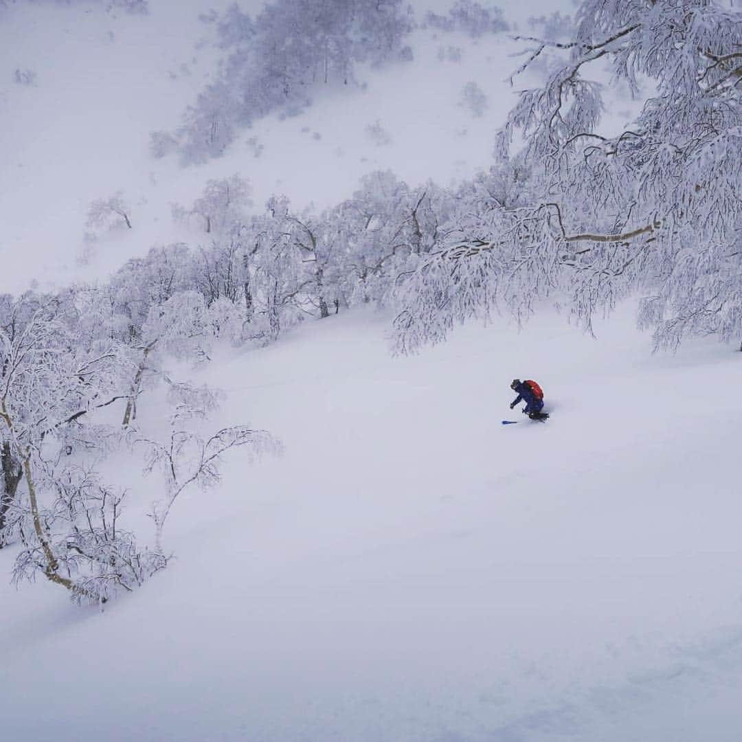 渡部暁斗さんのインスタグラム写真 - (渡部暁斗Instagram)「10日間の北海道。雪が降り続けるので、ほぼ毎日山へ上がってスキー三昧。最高でした🙏  #hokkaido #spreadtelemark #livetoski #goldwin #oakley」3月31日 10時12分 - wtbakt